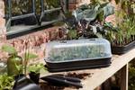 green basics grow house l transparente